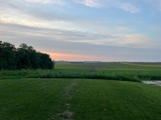 Yoga Class Among The Fireflys